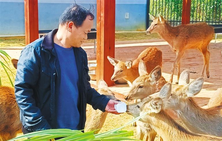 发展产业调研】林下生金不朽情缘网站【高质量(图3)